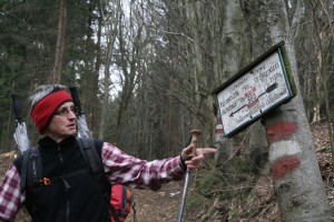 Večina poti je vodila po slovensko-avstrijski meji