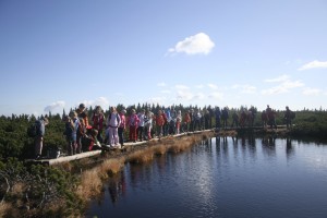 Ob največjem Lovrenškem jezeru