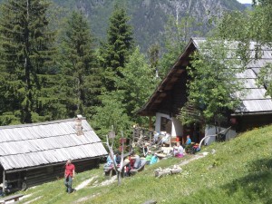 Pred Kočo na Klemenči jami