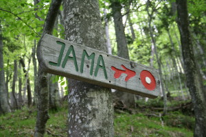 Naj vse poti 31. maja vodijo na Jamo