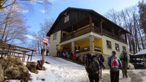 Proti tridnevnemu domovanju