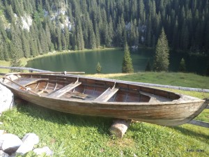 Planina jezero (vir: Silvo)