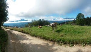 Pogled s Tolstega vrha proti Peci in Uršlji