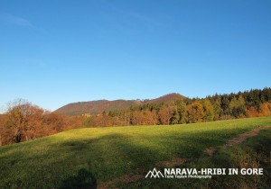 vir: http://tonetoplakphotography.blogspot.si/2013/11/konjiska-gora-po-brezpotju.html