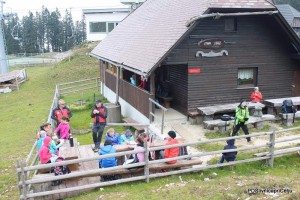 mozirskakocanaGolteh